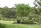 Carramar WAresidential-landscaping-40.jpg; ?>
